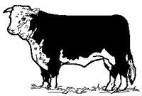 Cow - Hereford.eps