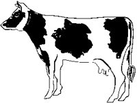 Cow 2.eps