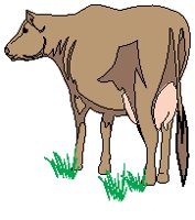 Cow 3.eps