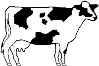 Cow 4.eps