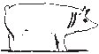 Pig 4.eps
