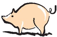 Pig 5.eps
