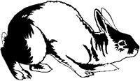 Rabbit.eps