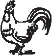Rooster 1.eps