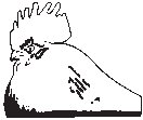 Rooster 2.eps