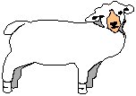 Sheep 3.eps