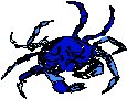 Crab Sketch.eps