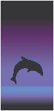 Dolphin - Graphic 2.eps