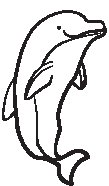 Dolphin 1.eps