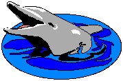 Dolphin 2.eps
