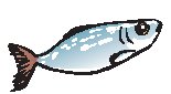 Fish - Sardine.eps