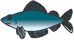 Fish 01.eps