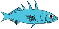 Fish 06.eps