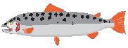 Fish 07.eps