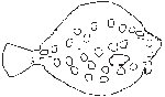Fish 08.eps