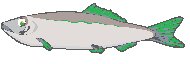 Fish 09.eps