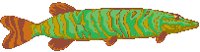 Fish 12.eps