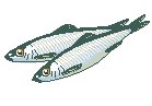 Fish 15.eps