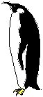 Penguin 2.eps