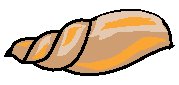 Sea Shell 2.eps