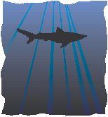 Shark - Graphic.eps