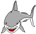 Shark 4.eps