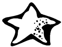 Starfish 3.eps