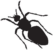 Ant 2.eps