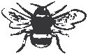 Bee 1.eps