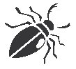 Beetle.eps