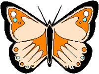 Butterfly 04.eps
