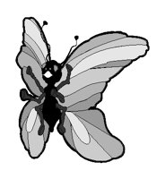 Butterfly 06.eps
