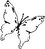 Butterfly 07.eps