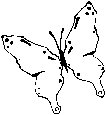 Butterfly 08.eps