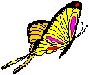 Butterfly 13.eps