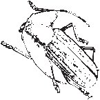 Crawling Insect 01.eps