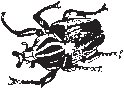 Crawling Insect 02.eps