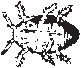 Crawling Insect 03.eps