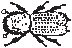 Crawling Insect 09.eps