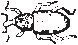 Crawling Insect 10.eps