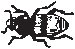 Crawling Insect 11.eps