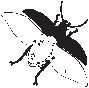 Flying Insect 1.eps