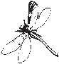 Flying Insect 2.eps