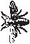 Flying Insect 3.eps