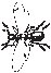 Flying Insect 5.eps