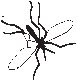 Flying Insect 6.eps