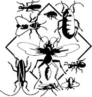 Insect Collage.eps