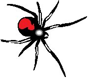 Spider - Redback.eps