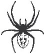 Spider 1.eps