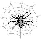 Spider 2.eps